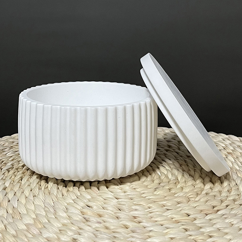 DIY Striped Storage Box Silico - Idli Steamer Mold recension och pris