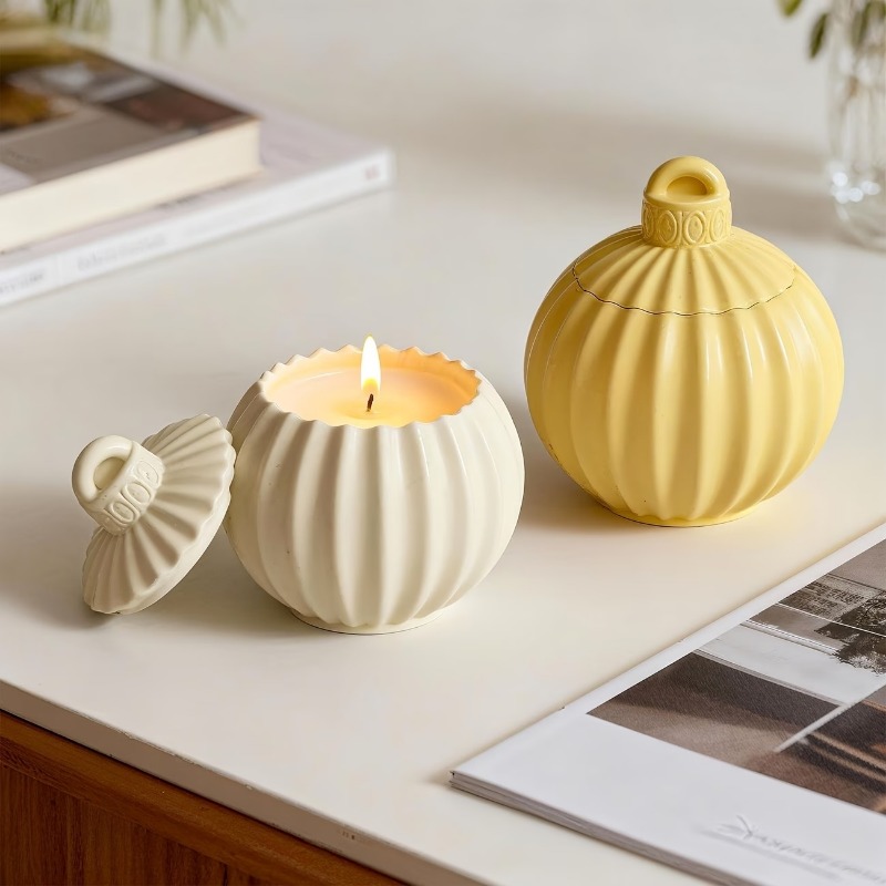 DIY Clay Mold with Lid, Round  - Idli Steamer Mold recension och pris